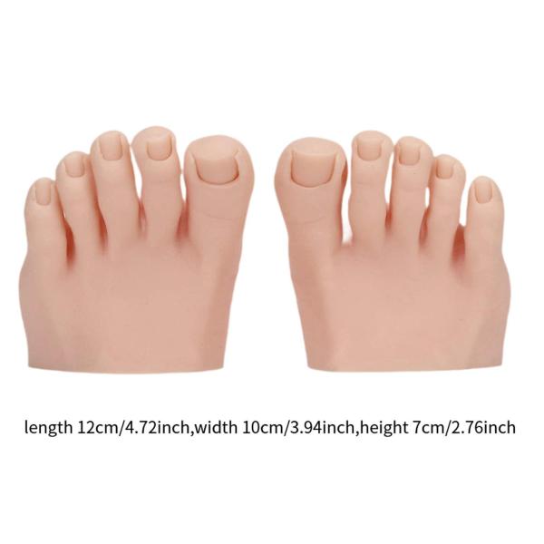 練習用偽足モデルアートトレーニング再利用可能ディスプレイプロ仕様シリコンスキンカラー