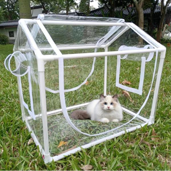 ミニ温室工場テント実用的な透明な多目的使用しやすいPVCポータブル屋内窓パティオ裏庭用