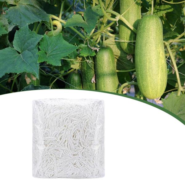 植物トレリスネット 植物サポートネット 5M 多目的クライミング ガーデン 芝生 バルコニー 花 ポーチ 階段用