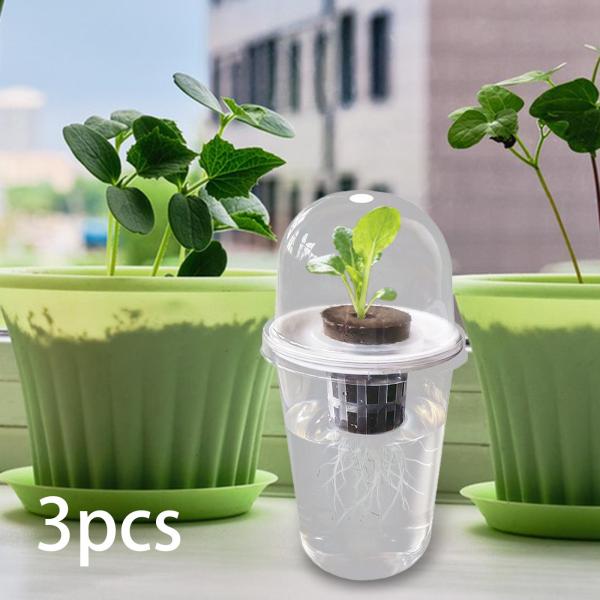 水耕栽培システムキット キャノーラ芝生 水耕栽培用品 植物ポッドキット 3キット