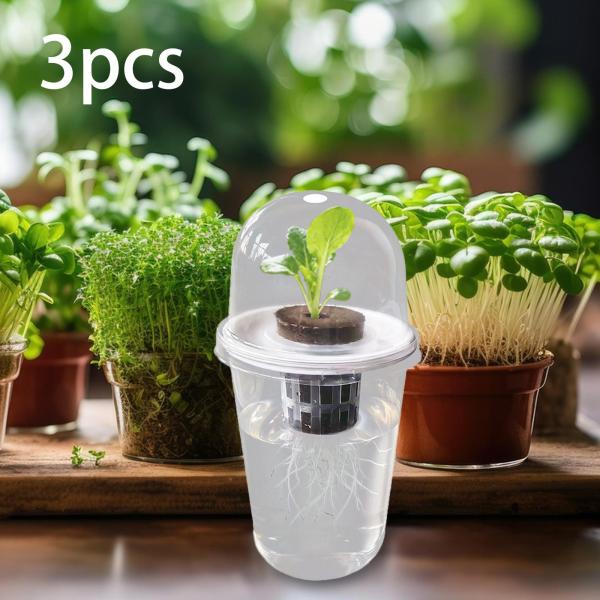 水耕栽培システムキット キャノーラ芝生 水耕栽培用品 植物ポッドキット 3キット