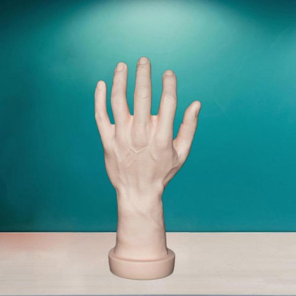 テーマのパーティーコスプレ装飾ネイルトレーニングスキンの左手のためのハンドモデル偽の人間の手