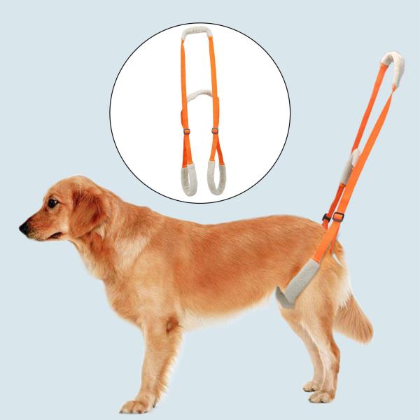 年配の犬のための犬用リフトハーネスペット手術の回復は歩行のを和らげます