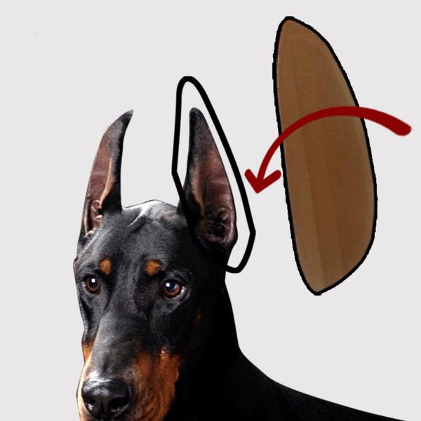 10×5cm 子犬の耳が立ち上がる ペットスタンドアップサポートステッカー