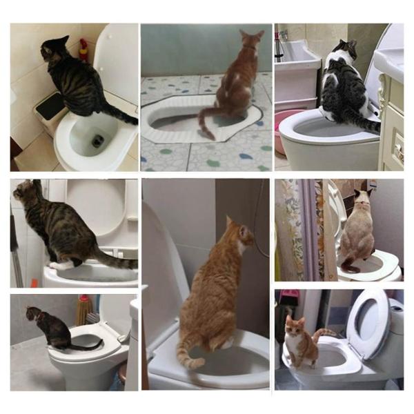 猫トイレトレーニングキットホーム子猫猫トイレトレーナー猫トイレボックストイレ , グレーのみのトレイ