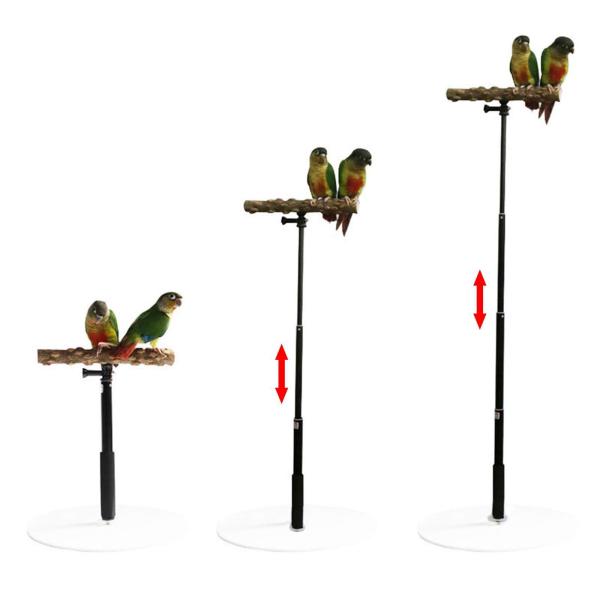 安定した T スタンド オウム トレーニング プレイスタンド 遊び場 パーチ チ、ラブバード、インコ、小鳥ケージ アクセサリー用木製バード パーチ