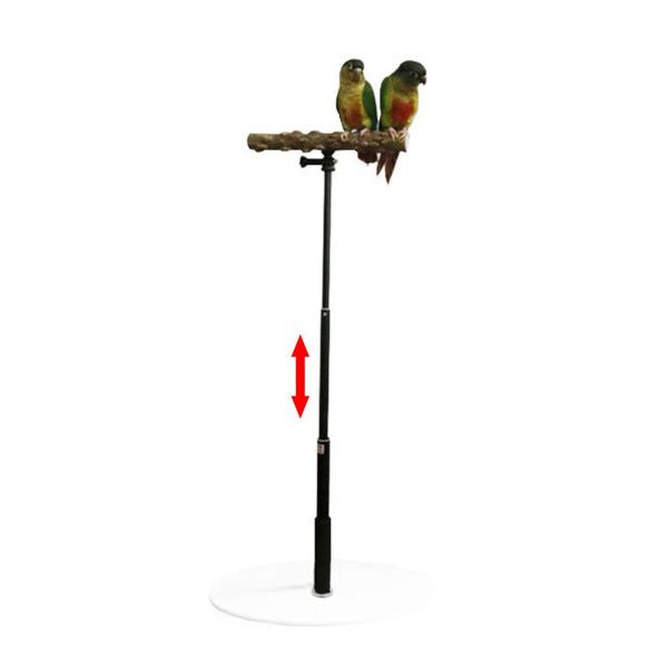 安定した T スタンド オウム トレーニング プレイスタンド 遊び場 パーチ チ、ラブバード、インコ、小鳥ケージ アクセサリー用木製バード パーチ