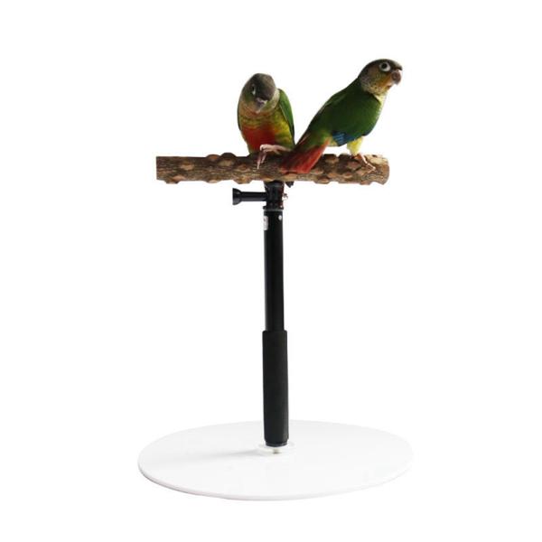 安定した T スタンド オウム トレーニング プレイスタンド 遊び場 パーチ チ、ラブバード、インコ、小鳥ケージ アクセサリー用木製バード パーチ