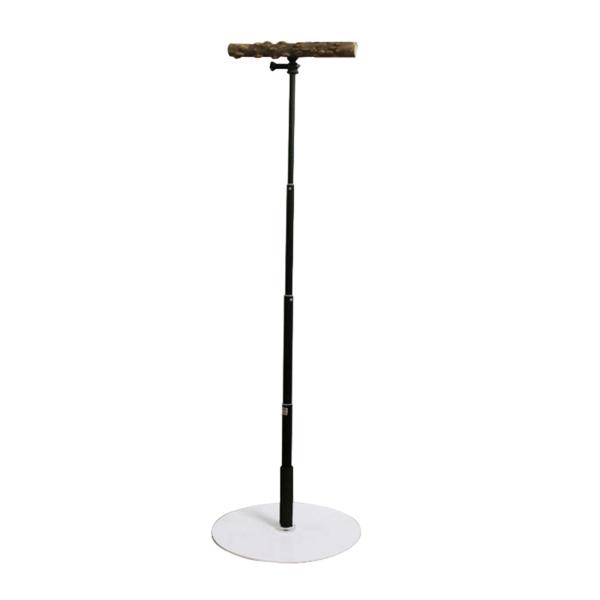 安定した T スタンド オウム トレーニング プレイスタンド 遊び場 パーチ チ、ラブバード、インコ、小鳥ケージ アクセサリー用木製バード パーチ