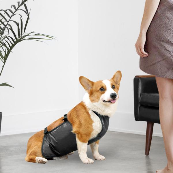犬の腹カバー 腹保護 ペットコスチュームアクセサリー ペット子犬服 グレー XL