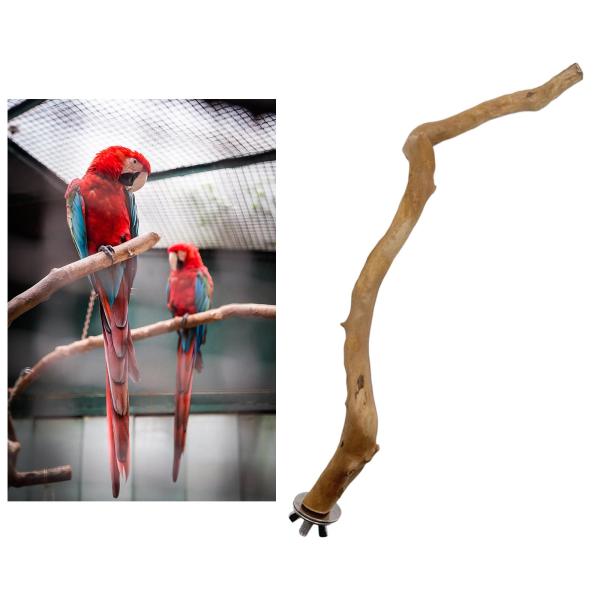 木製鳥止まり木ペットの鳥のおもちゃ、コンゴウインコ、インコ、その他の小鳥用曲がった