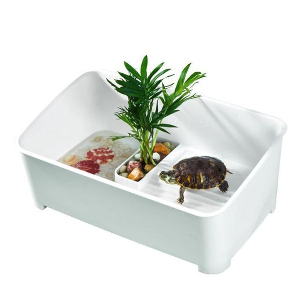 XL カメの水槽 カメの水槽