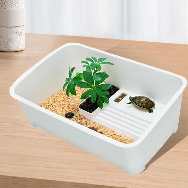 XL カメの水槽 カメの水槽