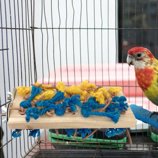 鳥のおもちゃ オウムスタンド 実用的な運動玩具 ユニークな立つおもちゃ 床置き 家庭用 カウンタートップ コニュア セキセイインコ用 噛むおもちゃ