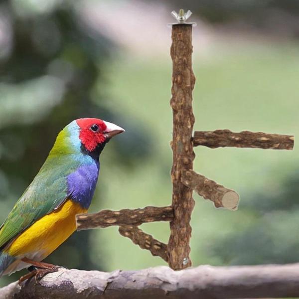 鳥の止まり木スタンド オウム遊びスタンド ジムスタンド 軽量トレーニングブランチウッド コンゴウインコ インコ セキセイインコ、オウム、オカメインコ用