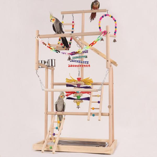 オウムの鳥の遊び場 鳥のジム アクティビティセンター 運動玩具 オウムのプレイスタンド 木製パーチスタンド セキセイインコ コニュア オカメインコ用