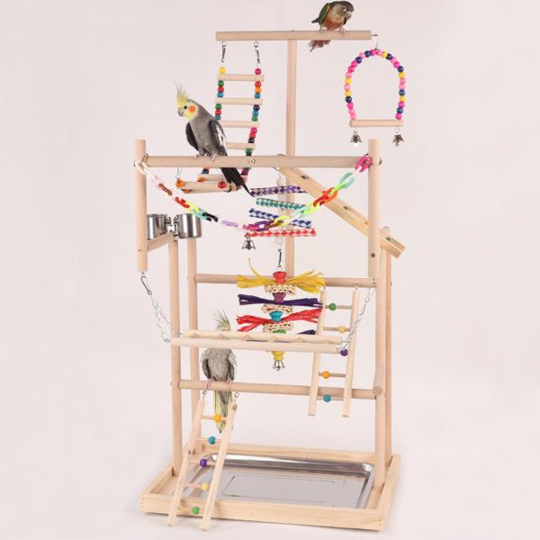 オウムの鳥の遊び場 鳥のジム アクティビティセンター 運動玩具 オウムのプレイスタンド 木製パーチスタンド セキセイインコ コニュア オカメインコ用
