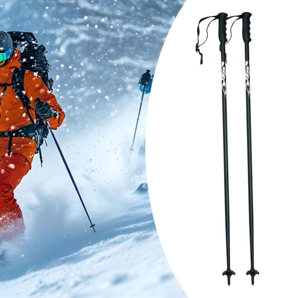 スキーポール ポータブルハイキングポール スノーボード トレッキング ウィンタースポーツ用 120 cm 2本
