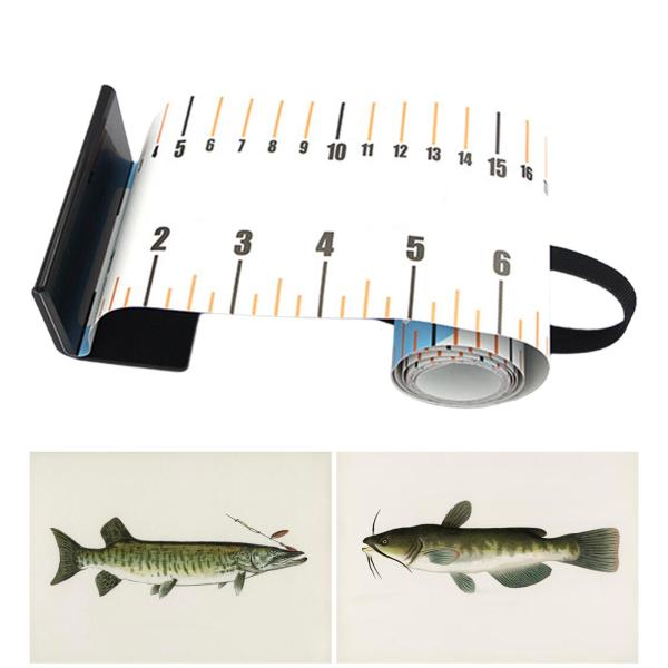 ヨットヨット用の正確なボートデッキフィッシングルーラーを清掃しやすい読みやすい読みやすい魚の測定ルーラー釣りテープ
