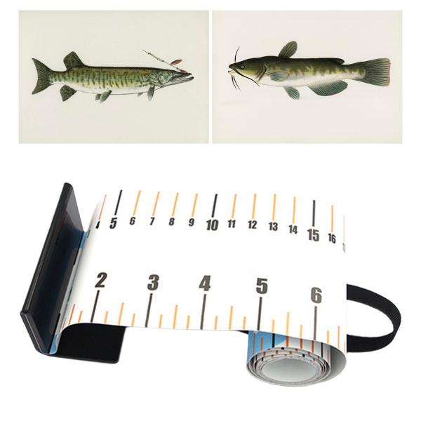 ヨットヨット用の正確なボートデッキフィッシングルーラーを清掃しやすい読みやすい読みやすい魚の測定ルーラー釣りテープ