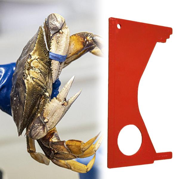 カニゲージ メジャー用品 釣り道具 コンパクト ギフト 釣りアクセサリー カニ定規 初心者 お父さん 大人 漁師 父親用