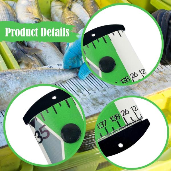 魚定規 アウトドア 釣り道具 コンパクト 魚測定テープ お父さん 初心者向け グリーン