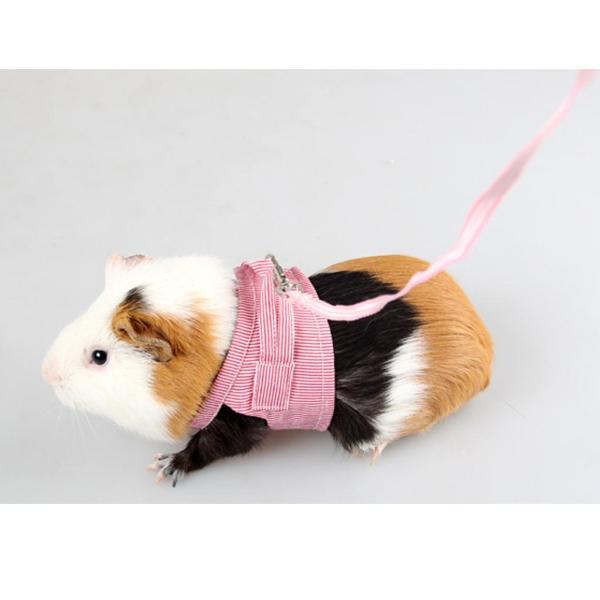 小動物 ハムスター   リードロープ チェラップ 全2色2サイズ 