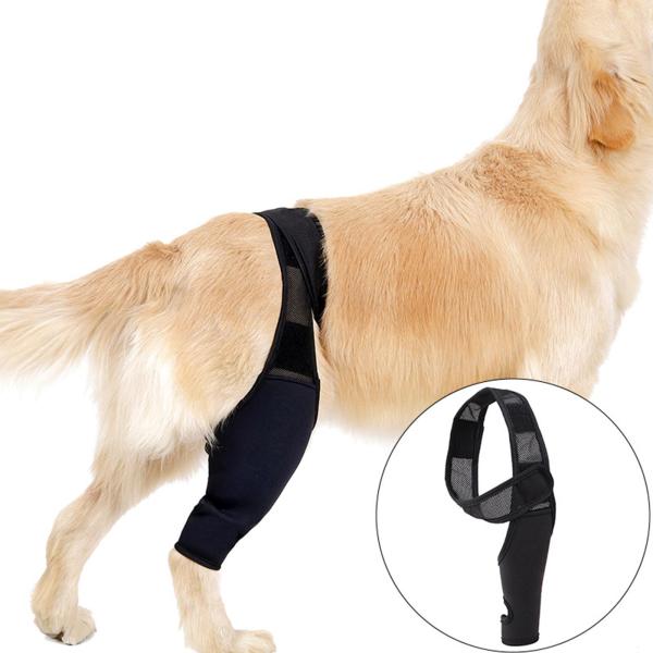 犬の肘ー、犬の膝ブレース、着用しやすい犬の脚の袖、犬の肘の