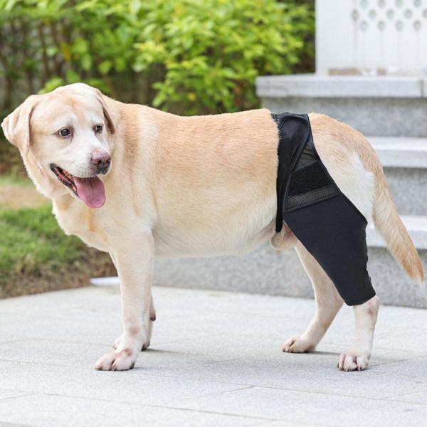 犬の肘ー、犬の膝ブレース、着用しやすい犬の脚の袖、犬の肘の