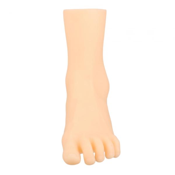 足モデル、女性マネキン足ディスプレイ、シミュレーション足首ブレスレット靴靴下ディスプレイ靴下つま先リングチェーン