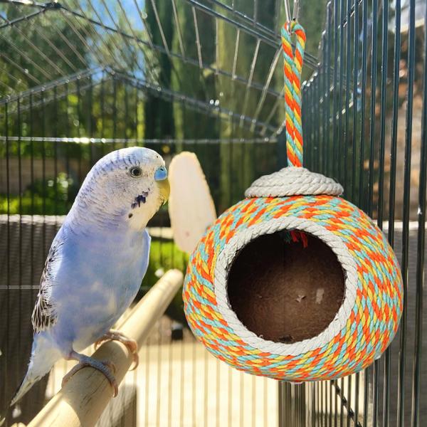 オウムの巣箱 鳥の繁殖用の巣 ギフト ハチドリの巣箱 シェルター小屋 セキセイインコ ミソサザイ 小型 中型鳥 アオカケス用