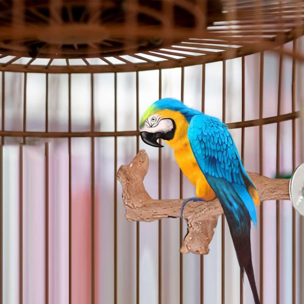 吸盤木製止まり木おもちゃ、オウム止まり木スタンド、セキセイインコやハチドリ用の遊びケージアクセサリー