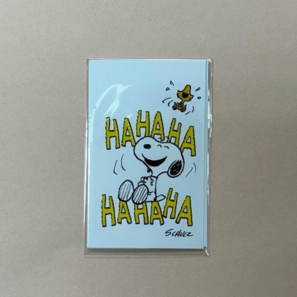PEANUTS スヌーピー ポチ袋 3枚入り お年玉 お小遣い SNOOPY PEANUTS