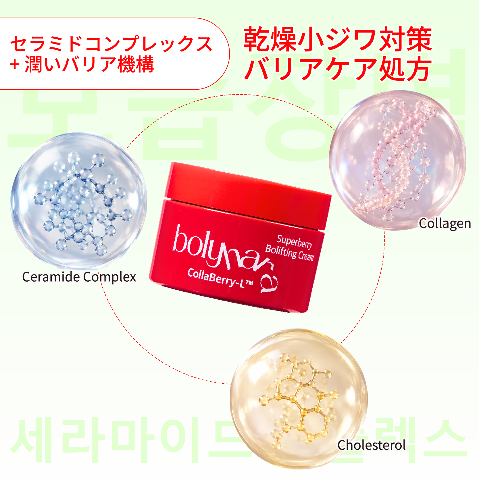 フェイスクリーム 保湿 毛穴 ハリ Bolyhara ボリハラ 保湿クリーム 顔