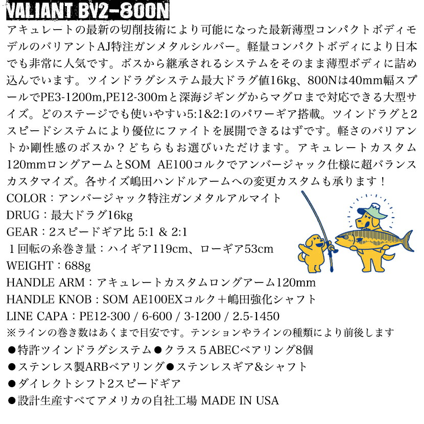 アキュレート バリアント VALIANT BV2-800N AJ特注ガンメタル
