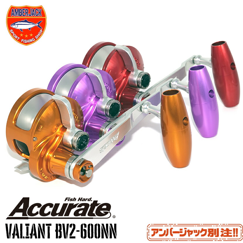 アキュレート BV2-600NN 別注バリアント VALIANT 120mm＆