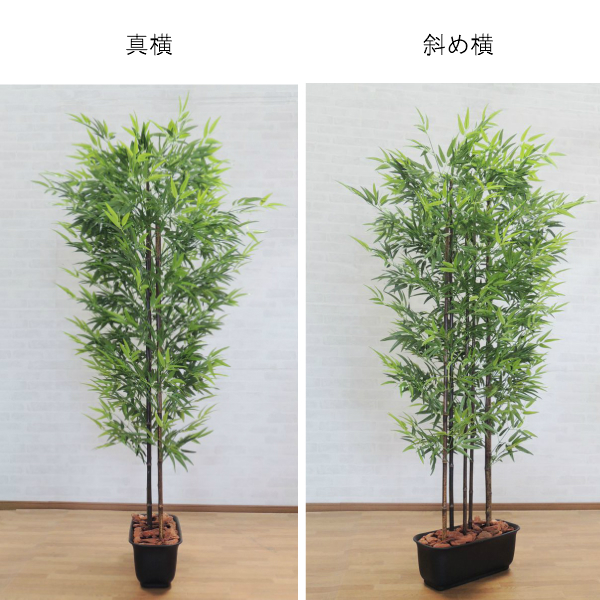 観葉植物 黒竹　高さ約130センチ　フデゴケ様 楽天市場】タカショー グリーンデコ 和風竹 「黒竹5本立 鉢無