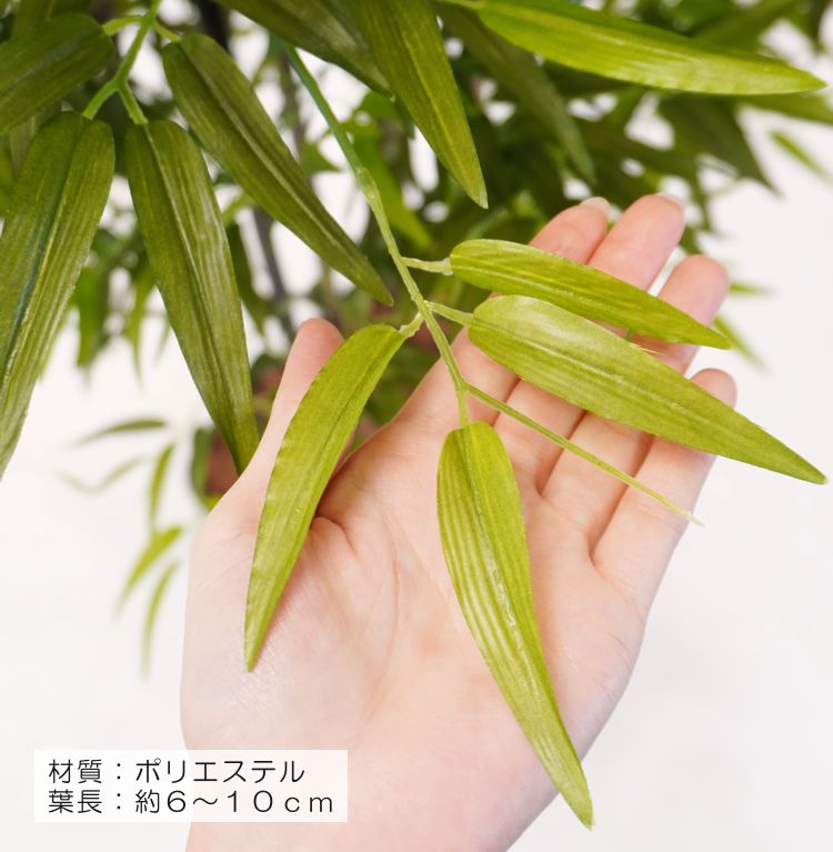 20190904-20.jpg