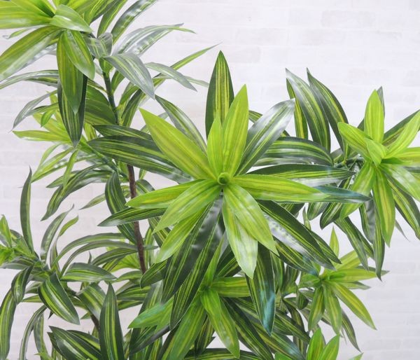 ベンジャミン スターライト 110cm (フェイクグリーン リアル 店舗 ミニ