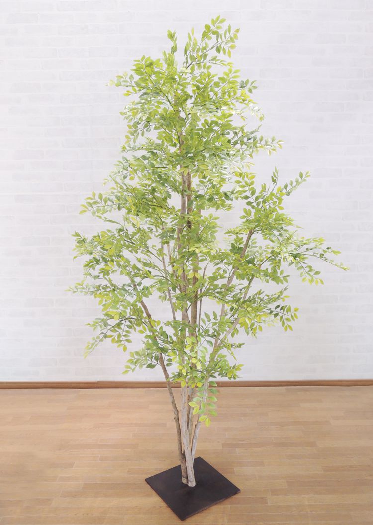 トネリコ の木 180cm (明るめの葉 造花 インテリア フェイクグリーン