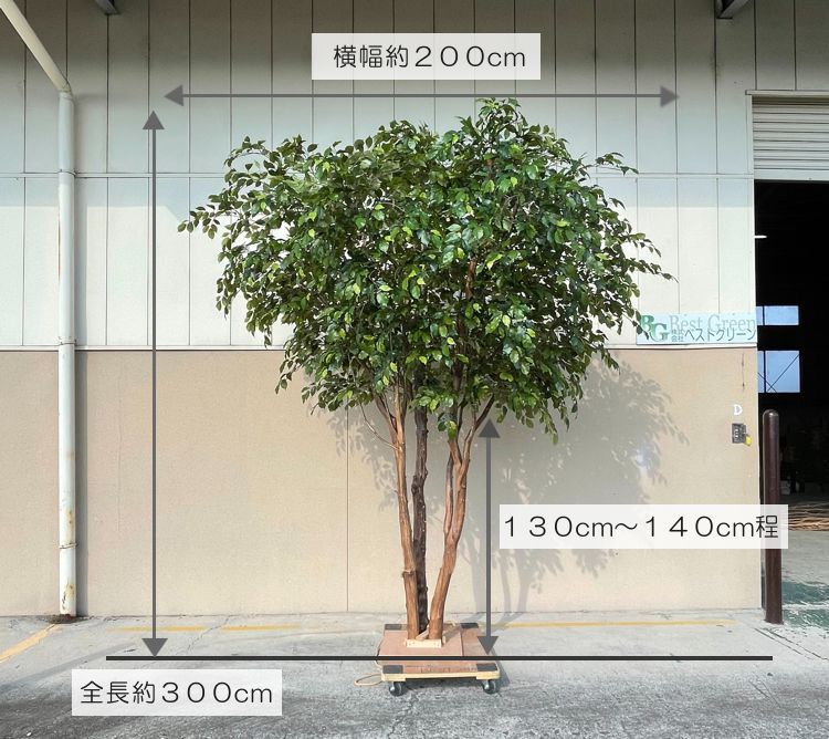 大型 ベンジャミン の木 高さ300cm 3本株立 (造花 フェイク
