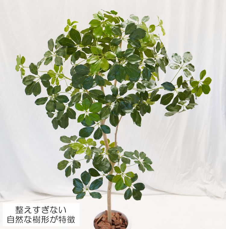 ツピタンサス 180cm (造花 インテリア 大型 おしゃれ 室内 人工 観葉