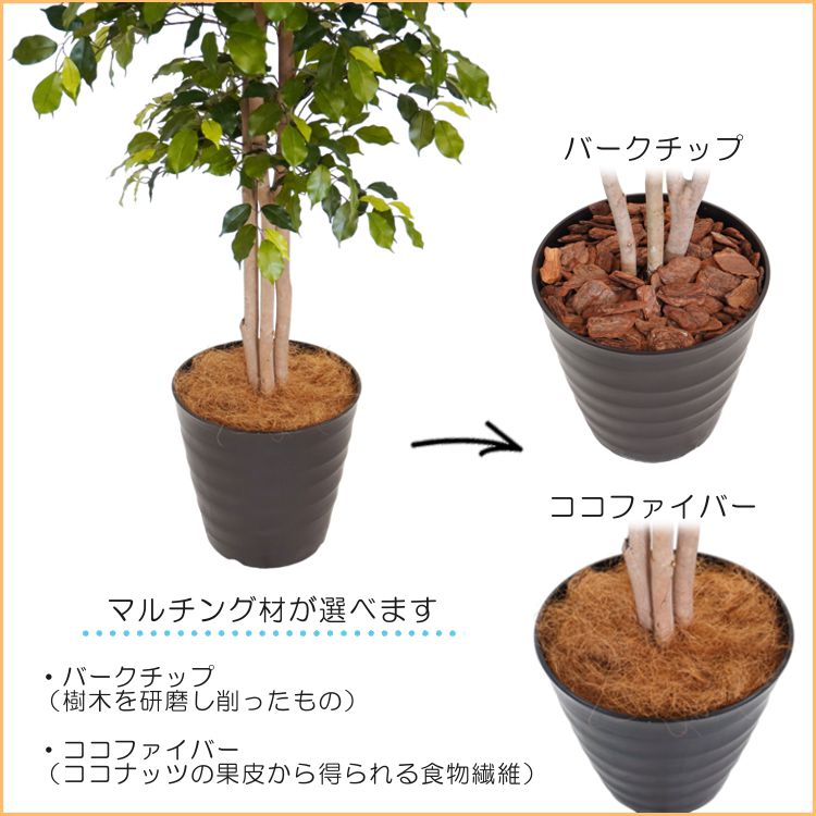 フィカスツリー 240cm (グリーン 人工樹木 人工観葉植物 造花 2.4m