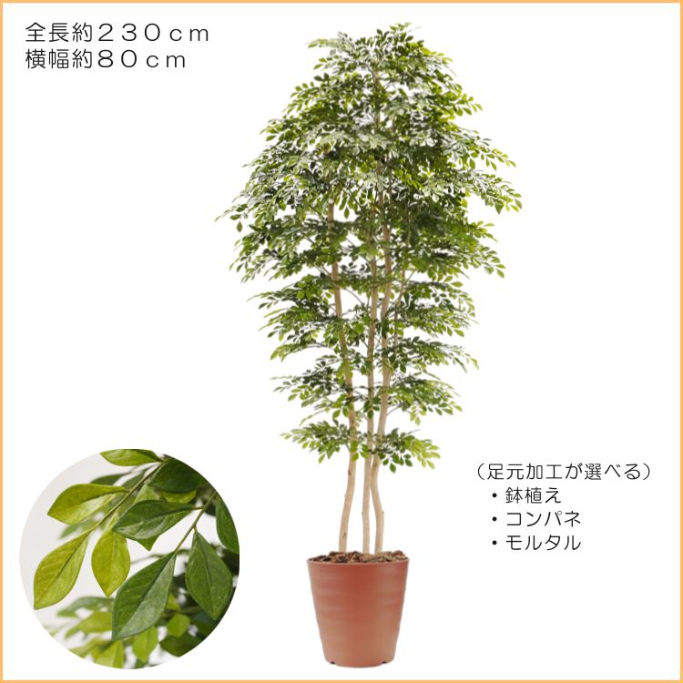 シマトネリコ の木 230cm 3本株立 (造花 観葉植物 インテリア 人工
