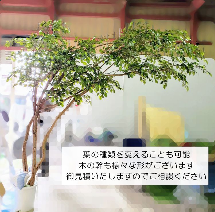 片流れの木 ナツツバキ 250cm（フェイクグリーン 椿 シャラノキ 造花