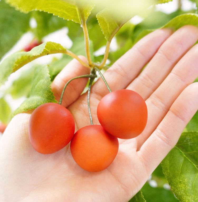 さくらんぼ の木 180cm (チェリー 造花 インテリア グリーン 観葉植物