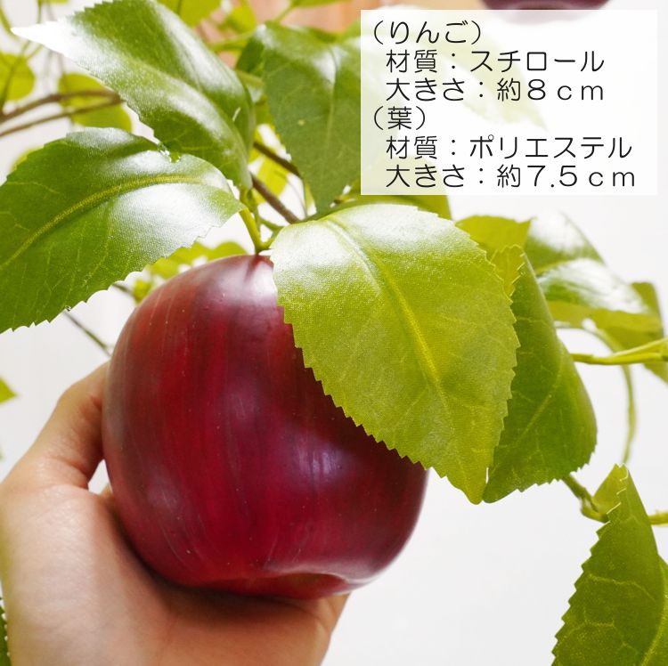 m20230220-11.jpg