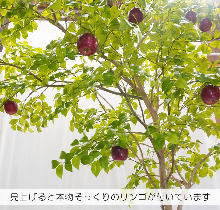 りんごの木 片流れ 250cm（フェイクグリーン リンゴ 林檎 アップル