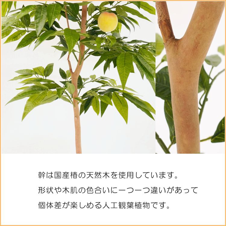 桃 の木 実付き 180cm (ピーチ 造花 人工 観葉植物 鉢植え 室内 おしゃれ インテリア グリーン 植栽 1.8m) : apt18-400  : 造花観葉植物専門店ビワールデコ - 通販 - Yahoo!ショッピング