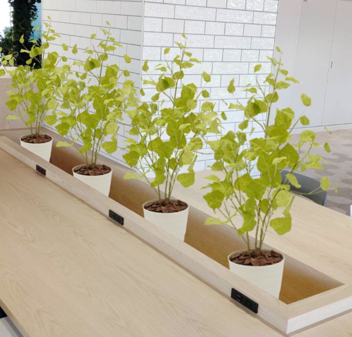 ポプラの木 苗木風 高さ80cm (フェイク グリーン インテリア